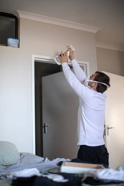 Best Mold Documentation for Insurance Claims  in Greenville, MS