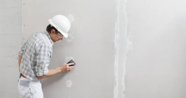 Best Residential Mold Inspection & Testing  in Greenville, MS