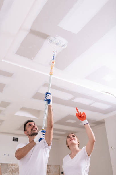Best Commercial Mold Inspection  in Greenville, MS