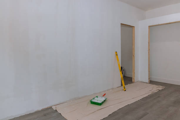 Best Mold Damage Restoration  in Greenville, MS