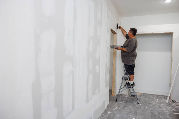 Professional Mold Removal in Greenville, MS