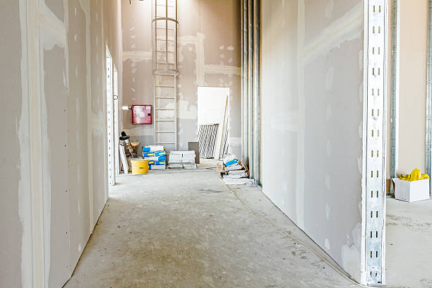 Best Emergency Mold Remediation  in Greenville, MS