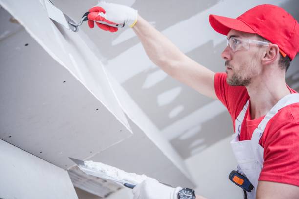 Best Comprehensive Air Testing for Mold Contaminants  in Greenville, MS